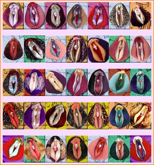 pictures of vulva